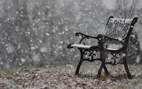 winter park bench